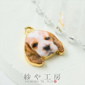 `[  RbJ[XpjGA  ANZT[ p[c zCg×uE 16mm 1 Jt hbO ANZT[`[ 1.6cm ≮ ^p[c `[ p[c nhC