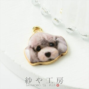 `[  v[hA  ANZT[ p[c O[ 15.5mm 1 Jt hbO ANZT[`[ 1.6cm ≮ ^p[c `[ p[c nhChp[c H[ 