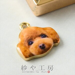 `[  v[hC  ANZT[ p[c uE 15.5mm 1 Jt hbO ANZT[`[ 1.6cm ≮ ^p[c `[ p[c nhChp[c H[ 