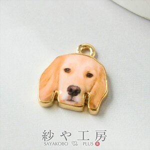 `[  go[A  ANZT[ p[c x[W 16.5mm 1 Jt hbO ANZT[`[ 1.7cm ≮ ^p[c `[ p[c nhChp[c H[