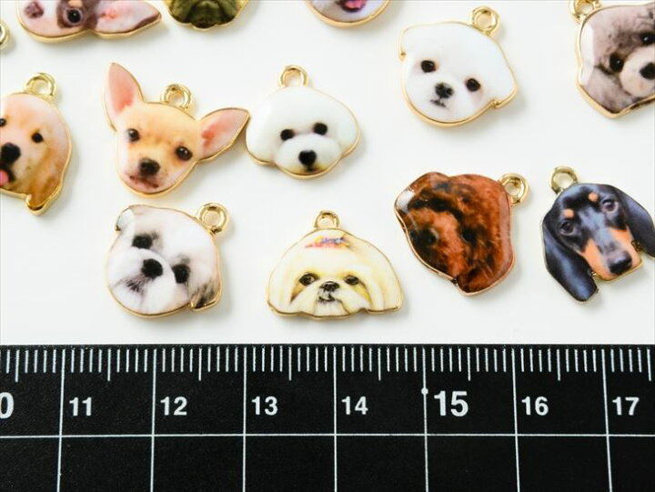 楽天市場】チャーム 犬 動物 アクセサリー パーツ マルチ 1個 カン付  