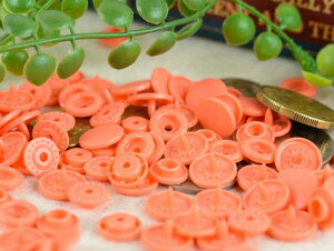 vXibv Xibv{^(T-5) }bgJ[ 30gi12mm T[sNj vX`bN {^  w s xr[ y q AM[̕ɂD ANZT[ 