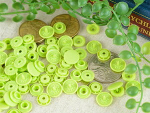 vXibv Xibv{^(T-5) }bgJ[ 30gi12mm tbVO[j vX`bN {^  w s xr[ y ANZT[ p[c ޗ ≮ 