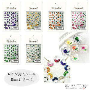 Resin club(WNu) ߍ݃WV[ Rose KN ANZT[ p[c 88×150mm 1  J Wp  W ≮ Wpi WV[ nhCh H[ 