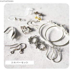 sAX p[c AM[Ή  Zbg 10 e1yA v10yA S[h Vo[ AM[Ή AM[Ήf sAXp[c  T[WJXeX XeX ANZ