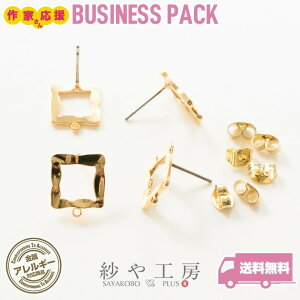 yXőP20{z sAXp[c `^ jbPt[ AM[Ή ANZT[p[c p[c S[h 13mm 10yA 20 XNGA ϐFh~H 1.3cm ≮ AM[t[ 