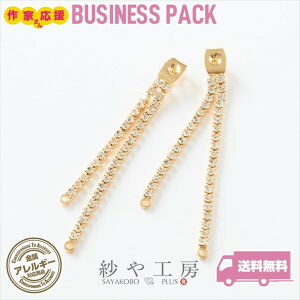 sAXLb` CXg[ jbPt[ ϐFh~H ANZT[ p[c S[h 46mm 10 AM[Ή AM[Ή sAXp[c ≮ ߋ sAX nhCh 