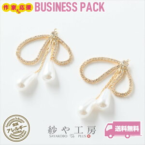 `[ jbPt[ CXg[ { ϐFh~H ANZT[ p[c S[h 43mm 10 AM[Ή AM[Ή uC_ ≮ ANZT[`[ nh