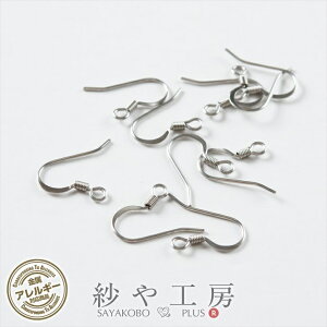 T[WJXeX 316L sAXp[c 5yA 10 XeX316L AM[Ή sAXtbN X^CbV΂˕t Jt 16mm Vo[ AM[Ή H[ ANZT[ p