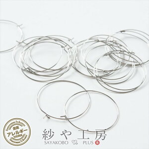 T[WJXeX 316L sAXp[c 10yA 20 XeX316L AM[Ή t[vsAX 40mm Vo[ AM[Ή t[v^Cv H[  ANZT[ p[c n