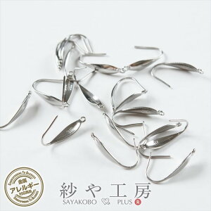 T[WJXeX 316L sAXp[c 10yA 20 XeX316L AM[Ή fUCtbNsAX 21mm Vo[ Jt AM[Ή H[ ANZT[ p[c nh
