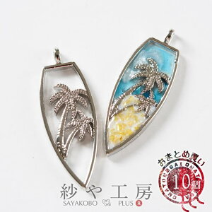 Wg T[t{[hV̖ тH[IWi 48mm Vo[ 10 Jt 傫  W g ZbeBO W g y Wp H[  ANZT[ p[c n