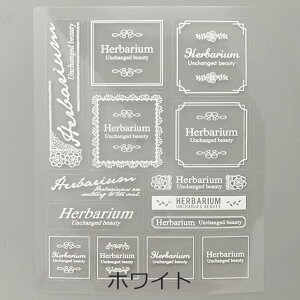 yXőP20{zHarbarium club(n[oENu) n[oEV[ {gxV[ ANZT[ p[c 88×150mm 1 1 V[ Sf  ≮ n[oENu f ޗ n