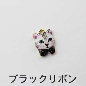 `[ jbPt[ AM[Ή L  ANZT[ p[c }` 15.5mm 5 Jt Lbg { AM[t[ ANZT[`[ ≮ ^p[c `[