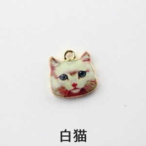 `[ jbPt[ AM[Ή L  ANZT[ p[c 15.5mm 1 Jt Lbg { AM[t[ ANZT[`[ ≮ ^p[c `[ n