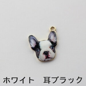 `[ jbPt[ AM[Ή  uhbO  ANZT[ p[c }` 20mm 5 Jt hbO AM[t[ ANZT[`[ ≮ ^p[c `[