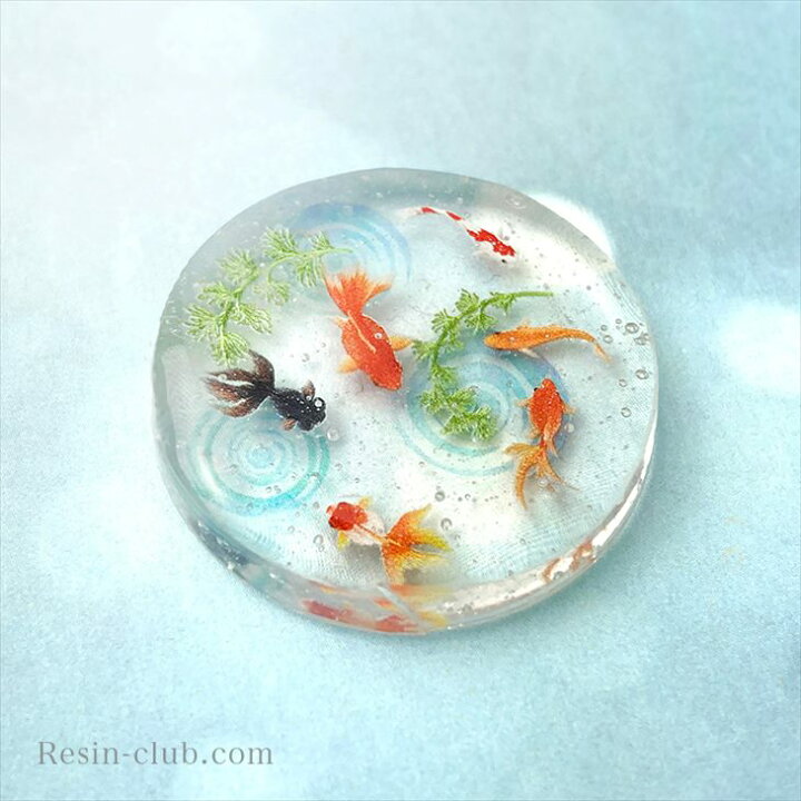 楽天市場】Resin club(レジンクラブ) 埋め込みレジンシール 金魚2 