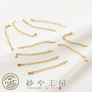 AWX^[ 316L XeX jbPt[ ϐFh~H ANZT[ p[c S[h S55mm 10{ AM[Ή AM[Ή T[WJXeX XeX`F[ 