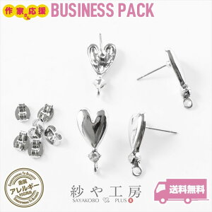 sAXp[c 316L XeX jbPt[ ϐFh~H n[g ANZT[ p[c Vo[ 18mm 10yA Xg[ AM[Ή AM[Ή T[WJXeX ≮ n