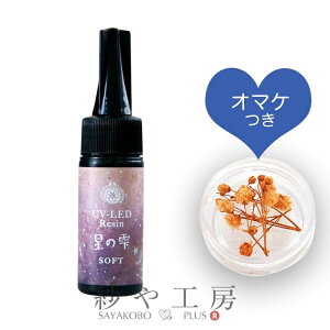 _24OFF^ pWR ̎ UV-LEDW \tg 25g 116×28mm 1{ ANnd PADICO W ̂ NtgAW Wt UVW ANZT[ p[c nhCh nh