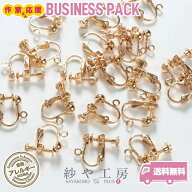【店内最大P10倍】イヤリング パーツ 10ペア 20個 金属アレルギー対応 ニッケルフリー 変退色防止加工 イ…