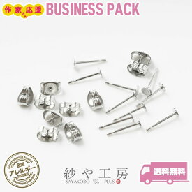 ピアスパーツ 316L ステンレス キャッチ付 アクセサリー パーツ シルバー 12mm 30ペア 3mm 平皿 丸皿 金属アレルギー対応 アレルギー対応 サージカルステンレス 問屋 ステンレス316L ハンドメイド ハンドメイドパーツ さや工房 手作り アクセサリーパーツ 卸 おすすめ