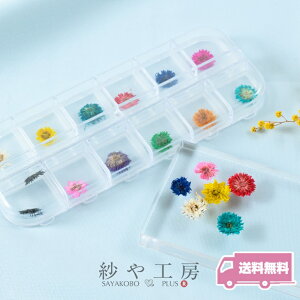 hCt[ p[c _A 10`13mm 12F×e1 v121Zbg 1cm WFlC  Wp[c Wޗ Wf Rf ANZT[ p[c nhCh ޗ ≮ 