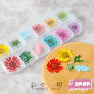 hCt[ p[c Ђ܂ [t MIXJ[ Wޗ WFlC Rf  Ԃт  lC fR ߍ WNtg  ANZT[ p[c nh