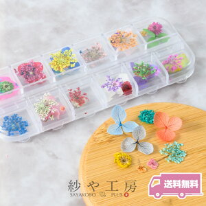 hCt[ p[c 召t[A\[g MIXJ[ JtZbg W ԍ WFlC Rf   lC fR ߍ WNtg ANZT[ p[c n