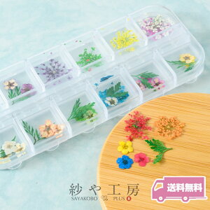 hCt[ p[c [Xt[Ə WFlC  Wp[c Wޗ Wf Rf  ANZT[ p[c nhCh ޗ ANZT[p[c 