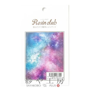 Resin club(WNu) ߍ݃WV[ MNV[2 88×150mm 1 1 F Wp  Wpi WV[ W  _ vlbg ANZT[ p[c nhC