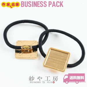 wAS ϑސFh~H ZbeBO AM[Ή  XNGA S[h 26mm 20 ` lp ~[M OS 2.6cm wAANZ   ANZT[ p[c 