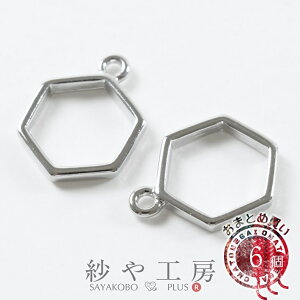 Wg g Vv Zp` 17mm Vo[ 6 6 1.7cm W g ʂ tRꂵÂ炢  Zp Wt t[ `[ Jt ʕ H[ ANZT[ p[c nh