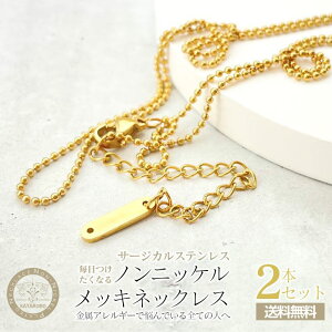 yXőP20{zlbNX`F[ mjbP XeX SUS304 {[`F[ S[h 450mm 2{ AM[Ή T[WJ 45cm H[  ANZT[ p[c nh