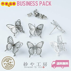 sAXp[c 316L XeX ϑސFh~H ̂̒  ANZT[ p[c Vo[ 15yA 30 o^tC AM[Ή T[WJXeX ≮ AM[t[ SILV