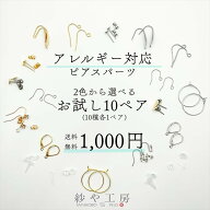 ピアス パーツ 金属アレルギー対応 お試し セット 10種 各1ペア 計10ペア ゴールド シルバー アレルギー…