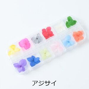  y Iׂ12 z hCt[ p[c WFlC Wޗ Wpi  lC ߍ WNtg i` vU[uht[ ANZT[ p[c n