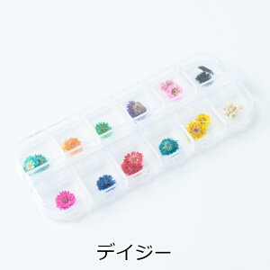  y Iׂ12 z hCt[ p[c WFlC Wޗ Wpi  lC ߍ WNtg i` vU[uht[ ANZT[ p[c n