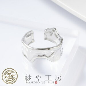 Op[c T[WJXeX 316L Ch ANZT[ p[c Vo[ O18mm 1 AM[Ή O t[TCY ≮ AM[t[ AWX^[ t SILVER 