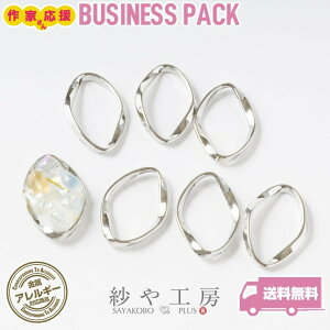 g jbPt[ cCXg  ANZT[ p[c Vo[ a22mm 24 AM[Ή AM[Ή t[ ZbeBO ≮ Wp ^p[c SILVER nhChp