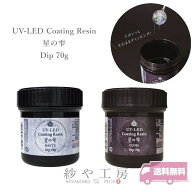 【店内最大P20倍】パジコ UV-LED コーティング レジン 星の雫 ディップ グロス / マット 70g 1個 アクセ…