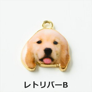 `[   ANZT[ p[c }` 1 Jt hbO ANZT[`[ ≮ ^p[c `[ p[c nhChp[c H[  ANZT[p[