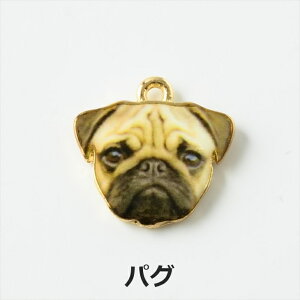 yXőP20{z`[   ANZT[ p[c }` 1 Jt hbO ANZT[`[ ≮ ^p[c `[ p[c nhChp[c H[  