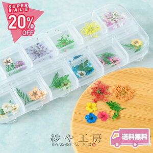 yő50OFFzhCt[ p[c [Xt[Ə WFlC  Wp[c Wޗ Wf Rf  ANZT[ p[c nhCh ޗ ANZT