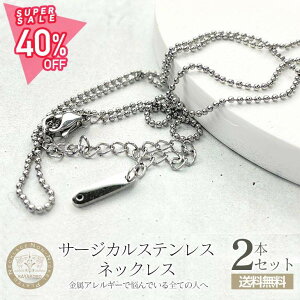 yő50OFFzlbNX`F[ XeX SUS304 {[`F[ Vo[ 450mm 2{ AM[Ή T[WJ 45cm AM[t[ H[  ANZT[ p[c nh