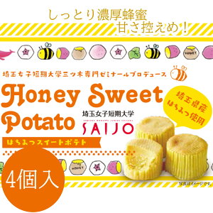 ʓyY@PL@nj[XC[g|eg4@XC[g|eg@J@ʏqZwR{i@ʏqZw@ƂH@݂͂@XC[g|eg@