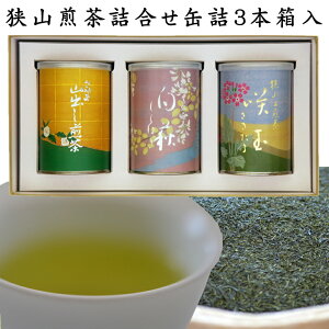 RMtgʋl3{yEʁEIRzy{/Β//Mtg/lߍ킹z