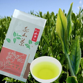 創業明治初年製茶工場直送狭山茶 山出し【日本茶/緑茶/煎茶/お茶/狭山茶】当店人気NO.2!!