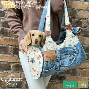 f[L[ Xgx[N[ LTCYy`6kgz  SAYO fj W[Y CN  L L[obO y݌ɏizy1TԈȓz