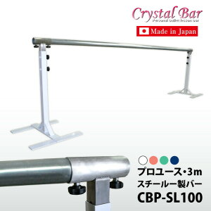  oGp bXo[ p[NX^o[ v[X 3m CBP-SL100 ACP[]X`[ oG bXo[ NVbNoG { zCg bX oGpi[ԕis